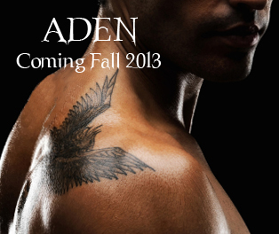 ADEN pix for Blog Coming 2013