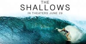 the-shallows